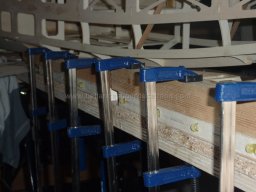 Ruder and elevator (208)